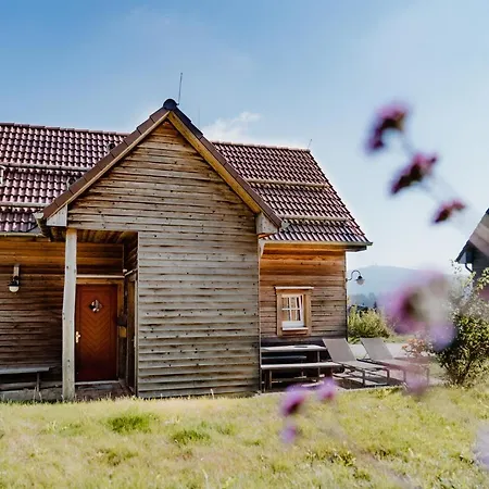Hotel Harzresort Torfhaus