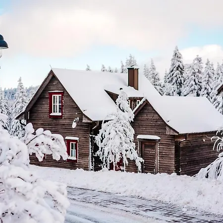 Hotel Harzresort Torfhaus