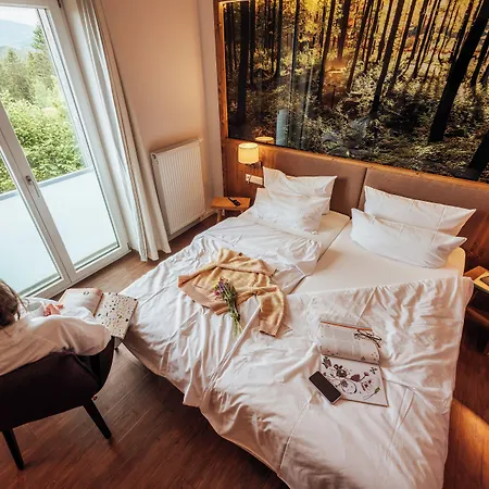 Harzresort 4*