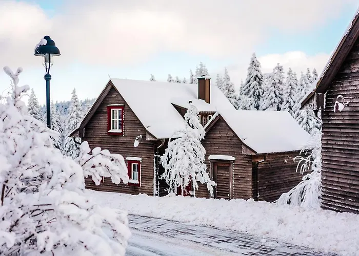 فندق Harzresort تورفاوس