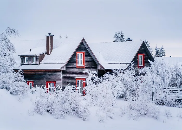Hotel Harzresort Torfhaus