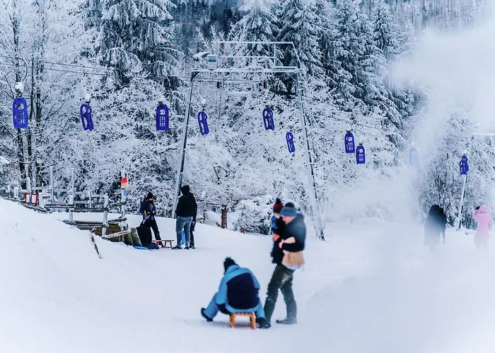 Harzresort 4* تورفاوس